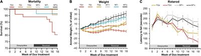 Cerebellar Pathology in an Inducible Mouse Model of Friedreich Ataxia